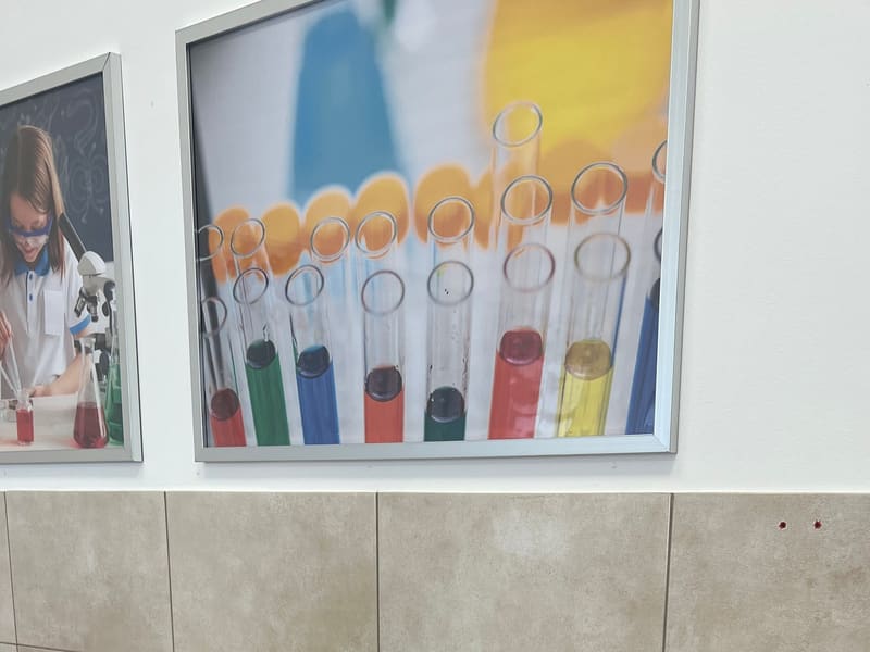 Półkolonie w Akademii Grodzisk — zdjęcie 7